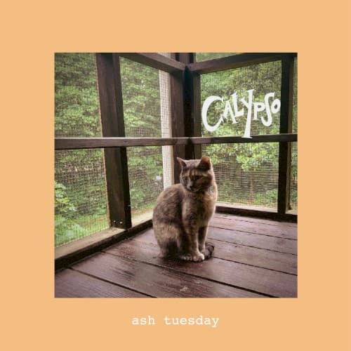 ash tuesday