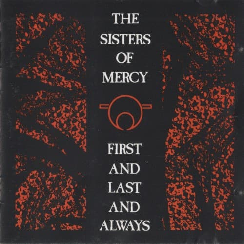 The Sisters of Mercy