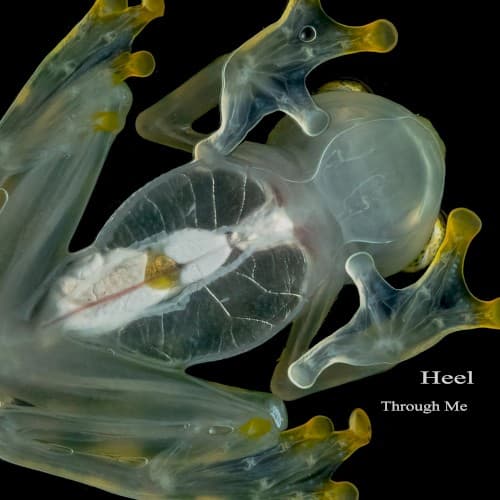 Heel — Through Me