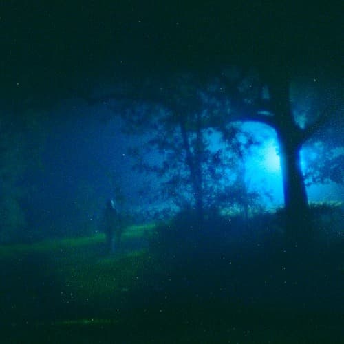 she's green — Mettle