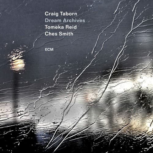 Craig Taborn, Tomeka Reid & Ches Smith — When Kabuya Dances