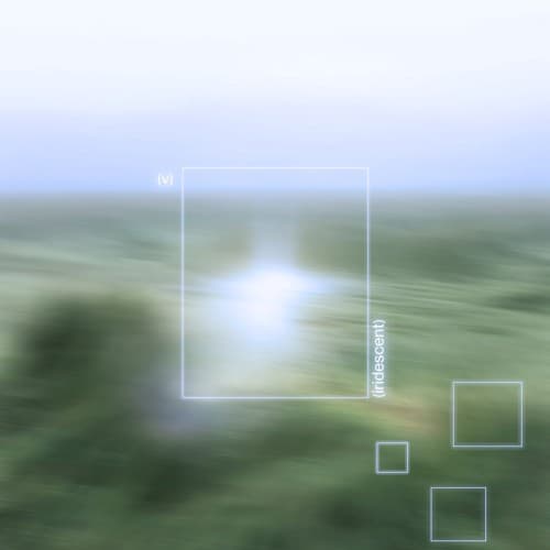 Orkun A. — In Full Bloom