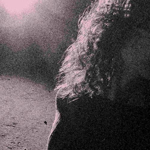 venturing — In the dark