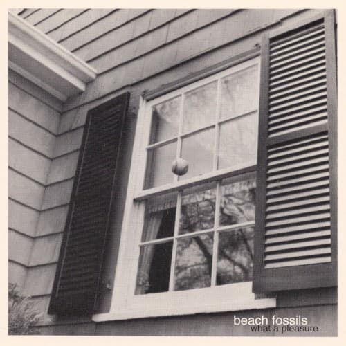 BEACH FOSSILS