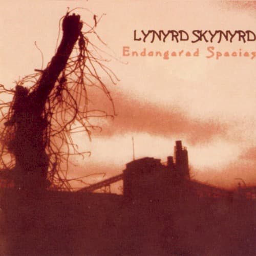 Lynyrd Skynyrd — Sweet Home Alabama