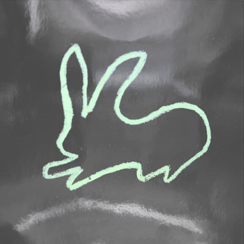 1000 Rabbits — Virgin Soil