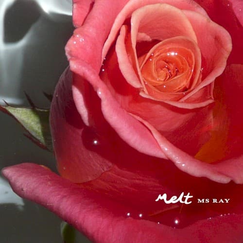 Ms Ray — Thin Ice