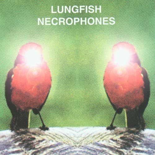 Lungfish