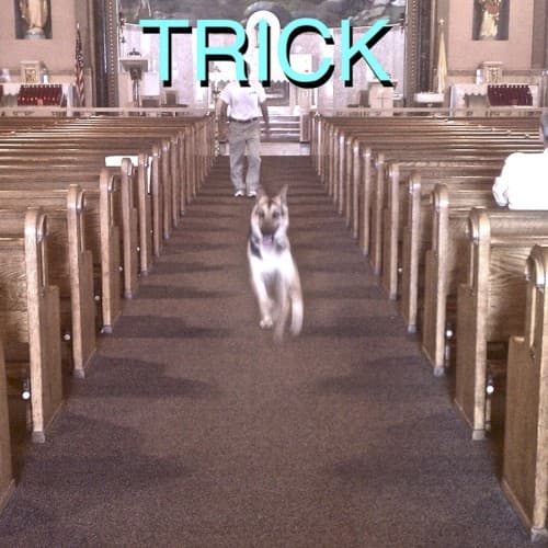 Alex G — Animals