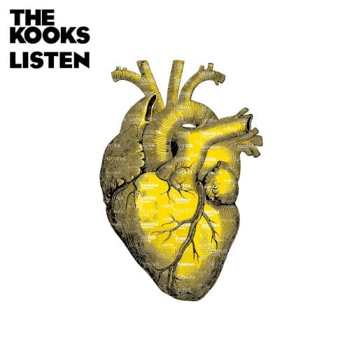 The Kooks
