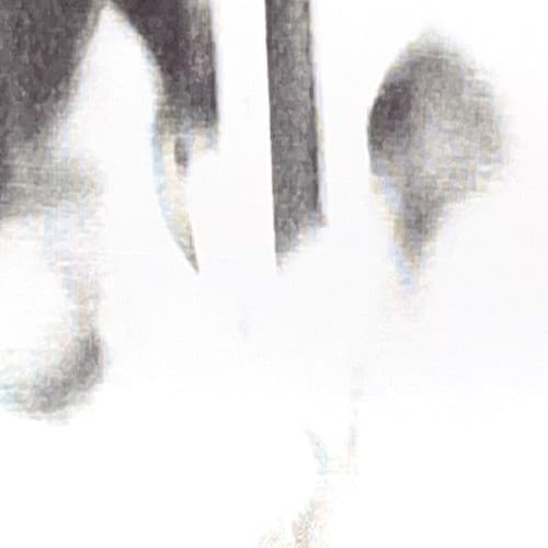 Horse Vision — You Could Have It