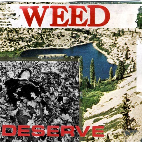 Weed — A Few Healthy Years