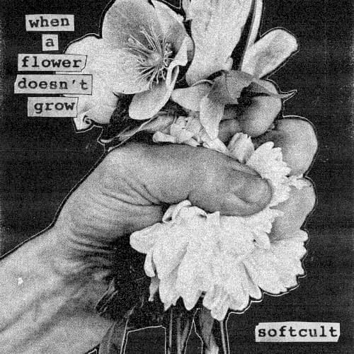 Softcult — She Said, He Said