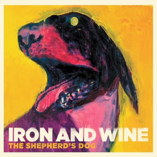 Iron