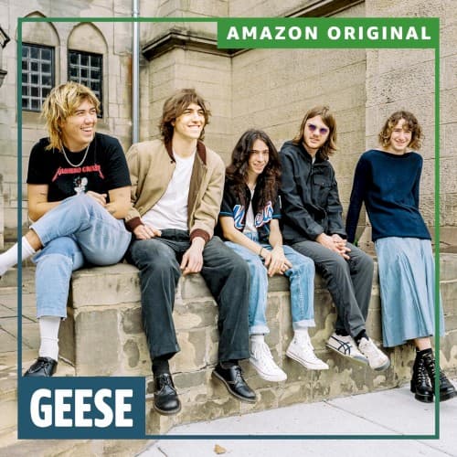 Geese