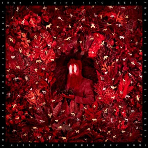 Iron and Wine — In Your Ocean