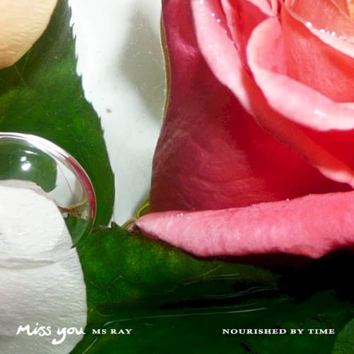 Ms Ray & Nourished by Time — Miss You