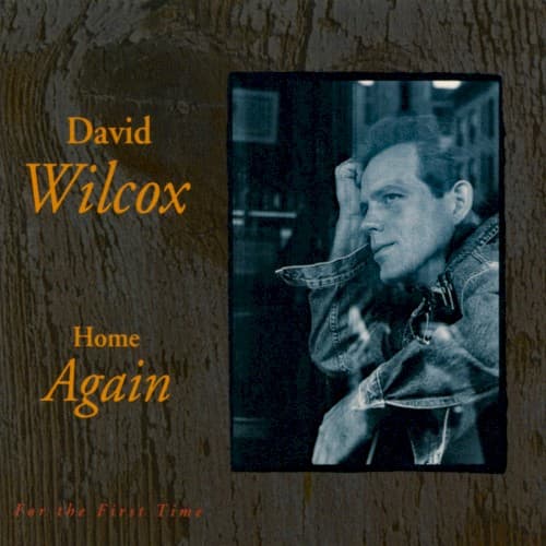 David Wilcox