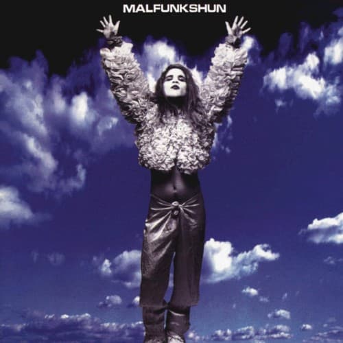 Malfunkshun