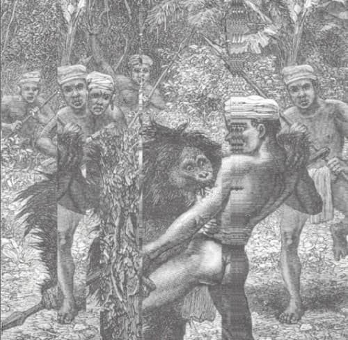 Nu Guinea