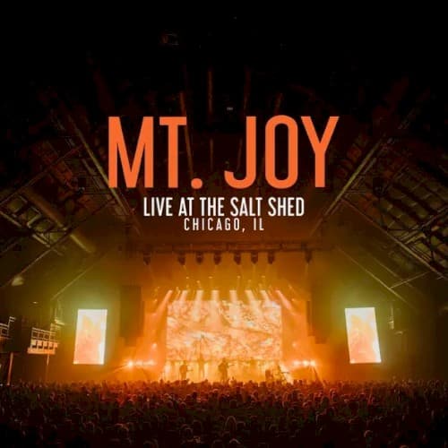 Mt. Joy — Orange Blood