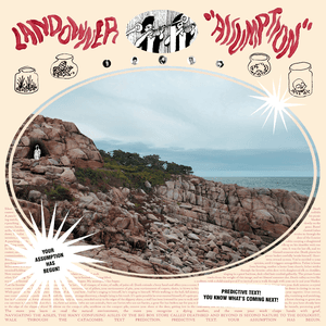 Landowner — Linear Age