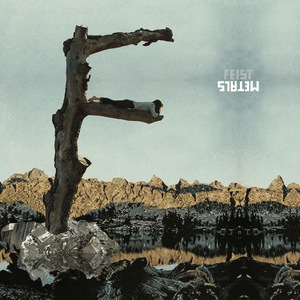 Feist — How Come You Never Go There