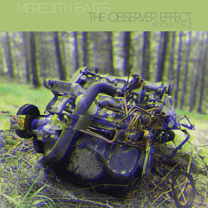 Meredith Bates — Book I - 3rd Incantation (love)