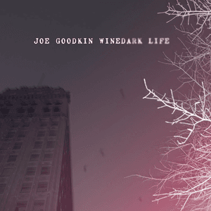 Joe Goodkin