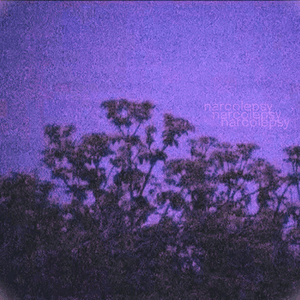 narcolepsy — minnesota