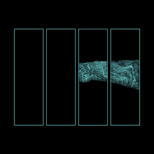 Moon Apple — Séance II - Earth Rabbit