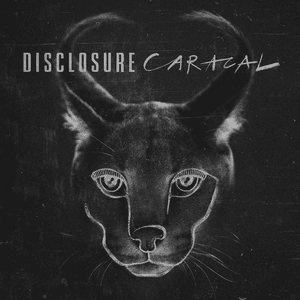 Disclosure — Magnets