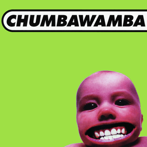 Chumbawamba — Tubthumping