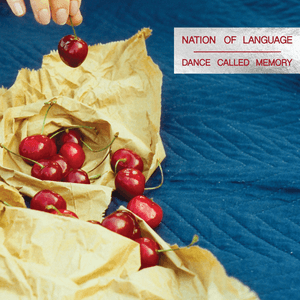 Nation of Language — In Another Life