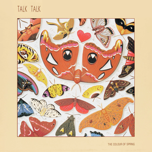 Talk Talk