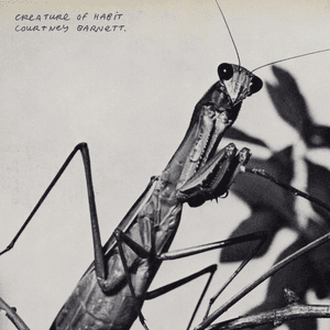 Courtney Barnett — One Thing At A Time