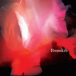 Rumskib