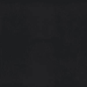Vince Staples