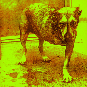 Alice In Chains