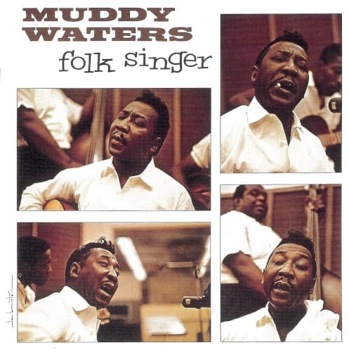 Muddy Waters