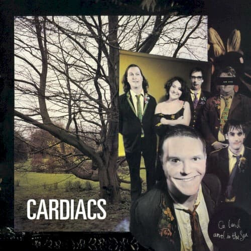 Cardiacs