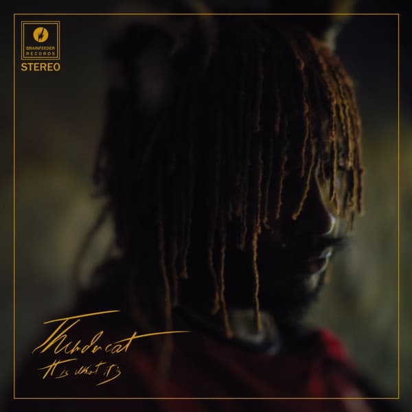 Thundercat — Funny Thing