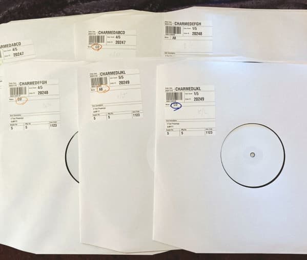 DJ Sabrina The Teenage DJ