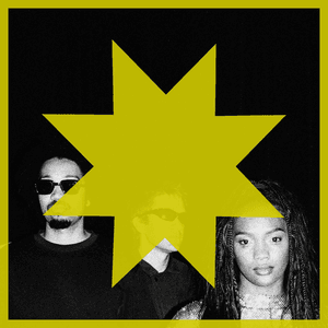 Patchwork Inc. & Michael Damani