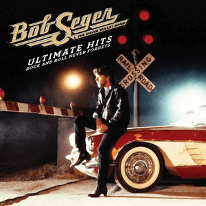 The Bob Seger System