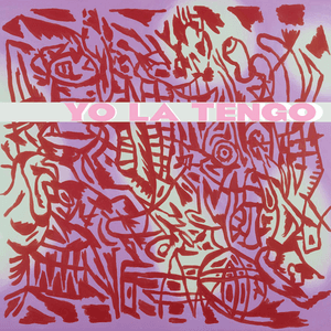 YO LA TENGO! — Black Flowers