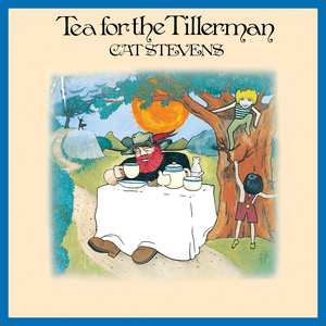 Cat Stevens — Wild World