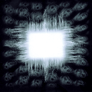 TOOL — Stinkfist