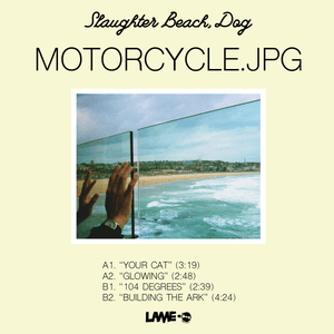 Slaughter Beach, Dog — Your Cat