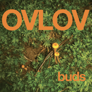 Ovlov — The Wishing Well
